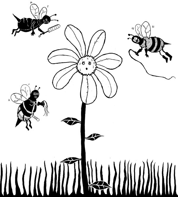 S & M Bees2